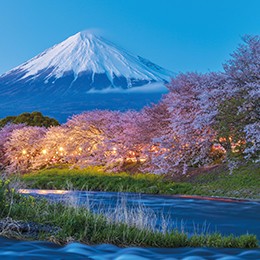 discover-japan1