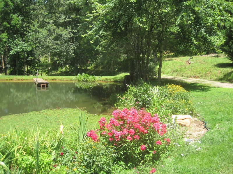 Summer Pond 2015