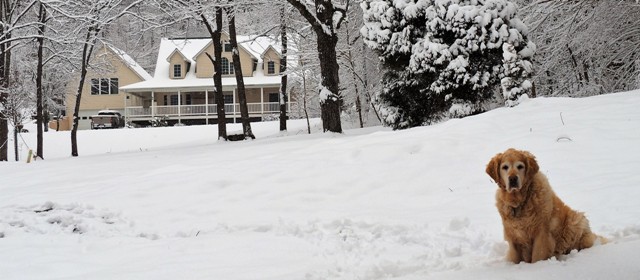 Christabel in Snow with House