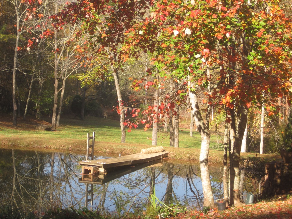 Autumn Pond 2