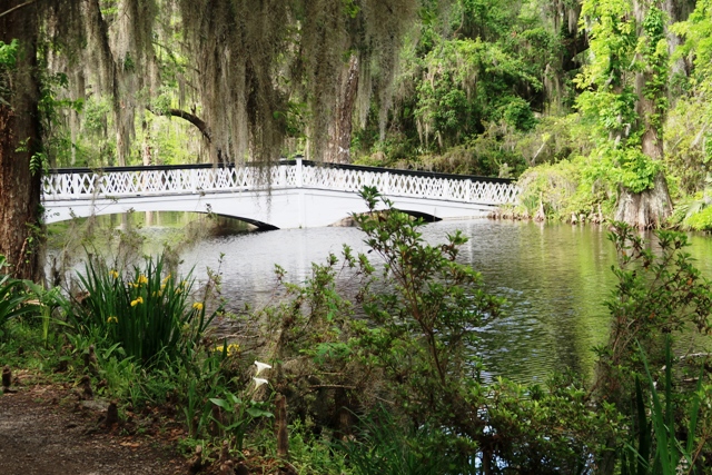 Charleston Plantation